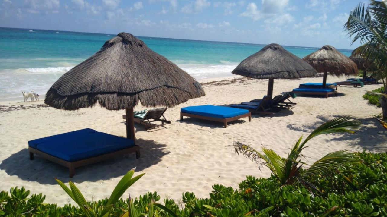 Sol Caribe Otel Punta Allen Dış mekan fotoğraf