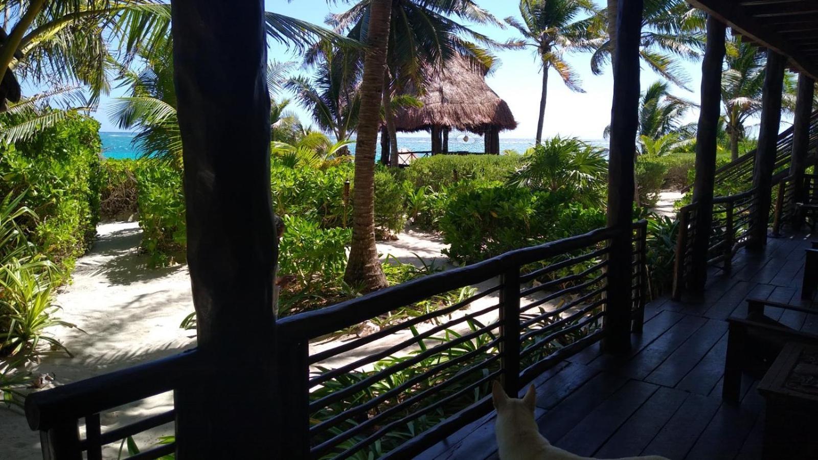 Sol Caribe Otel Punta Allen Dış mekan fotoğraf