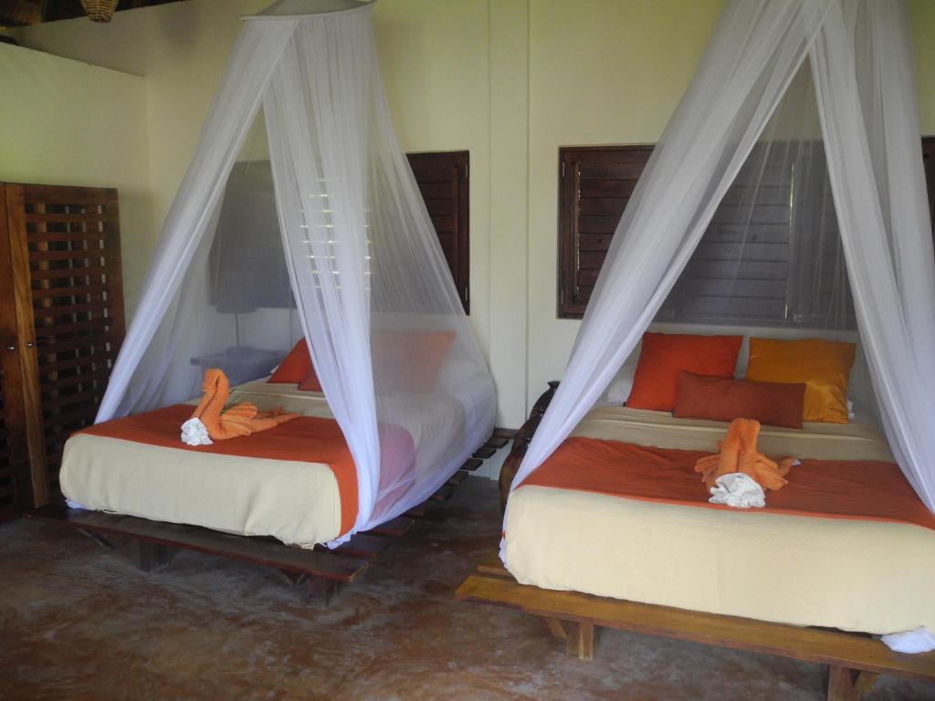 Sol Caribe Otel Punta Allen Oda fotoğraf