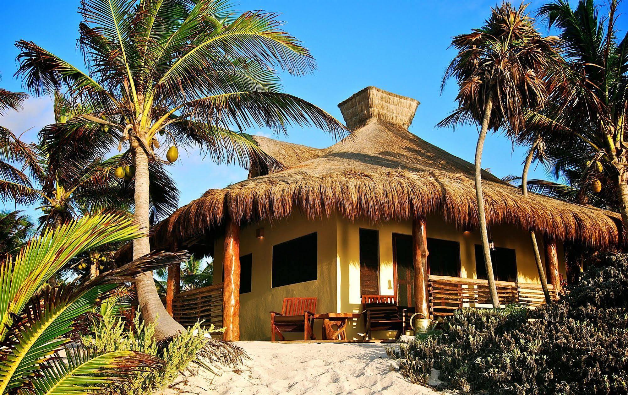 Sol Caribe Otel Punta Allen Dış mekan fotoğraf